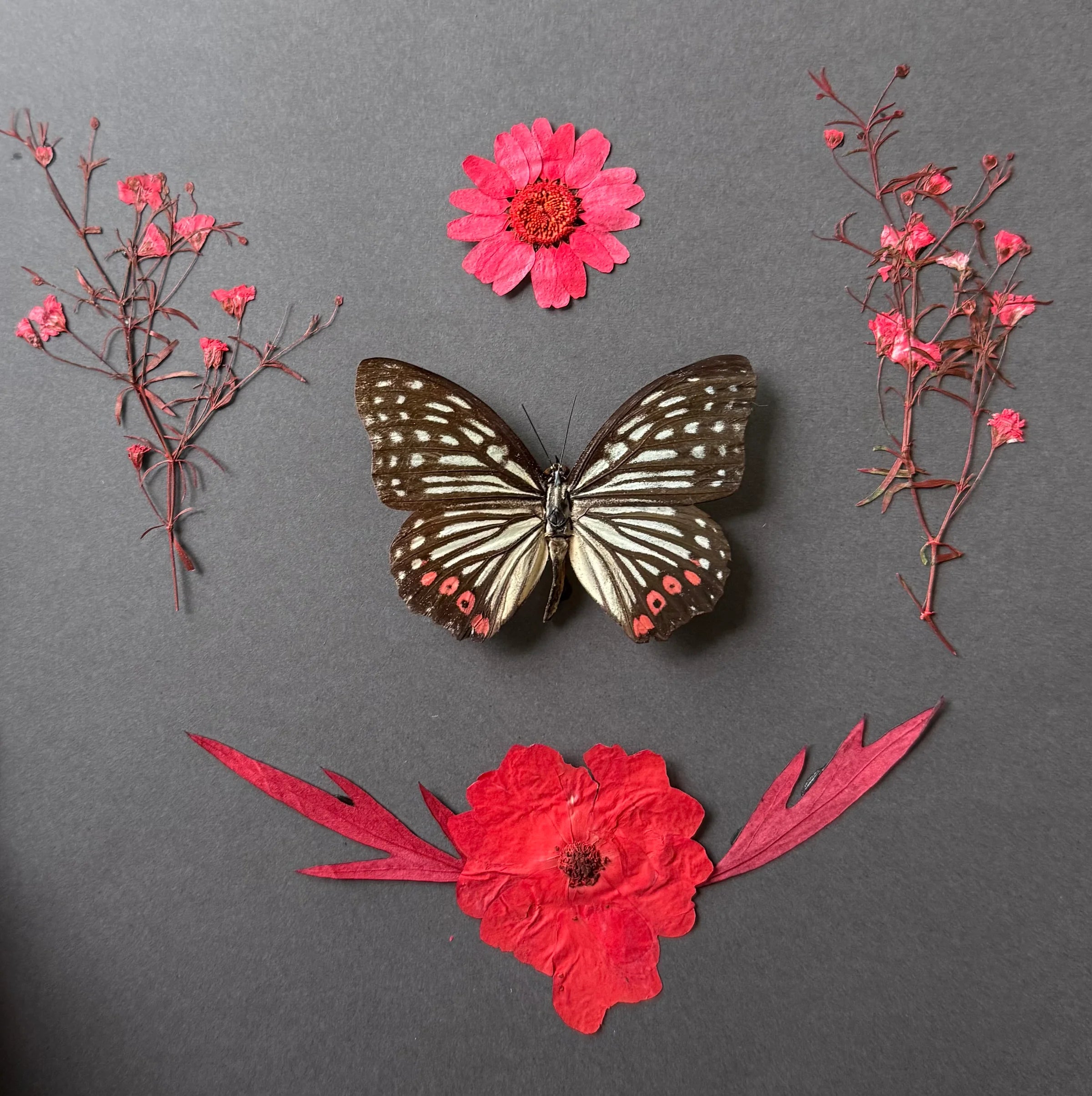 Red Ring Skirt Frame