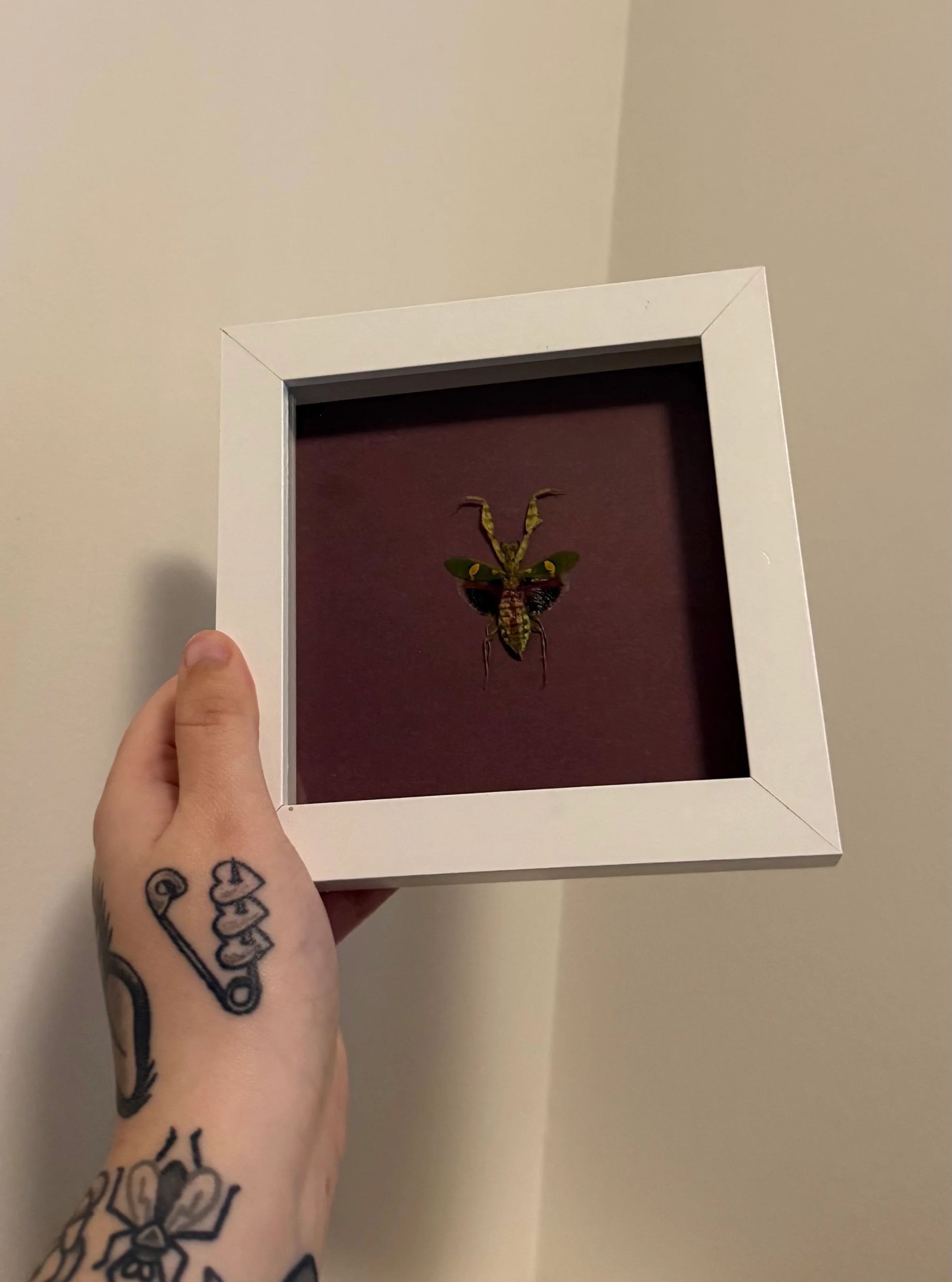 Jewelled Flower Mantis Frame