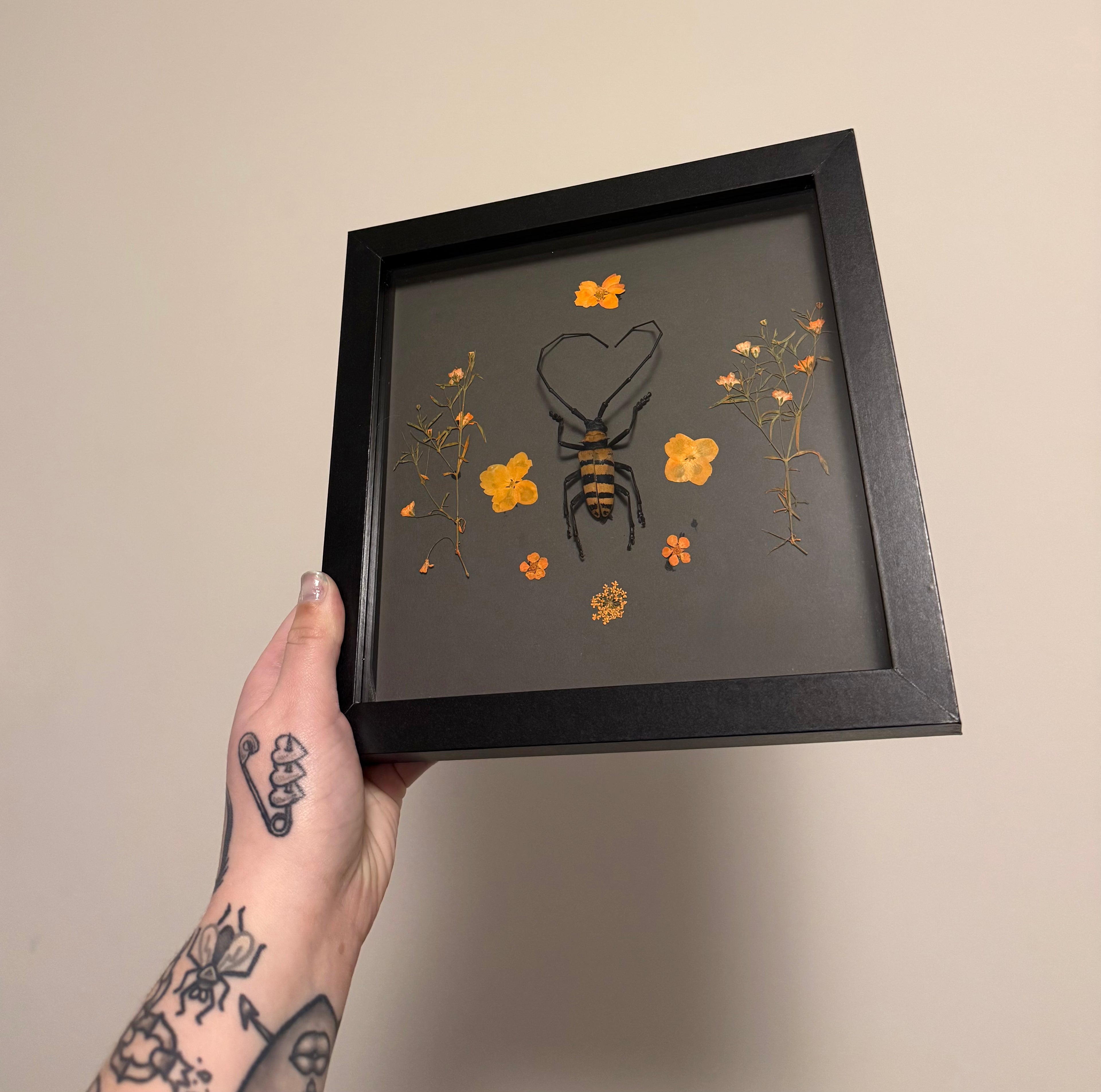 Longhorn Beetle Frame - orange/black