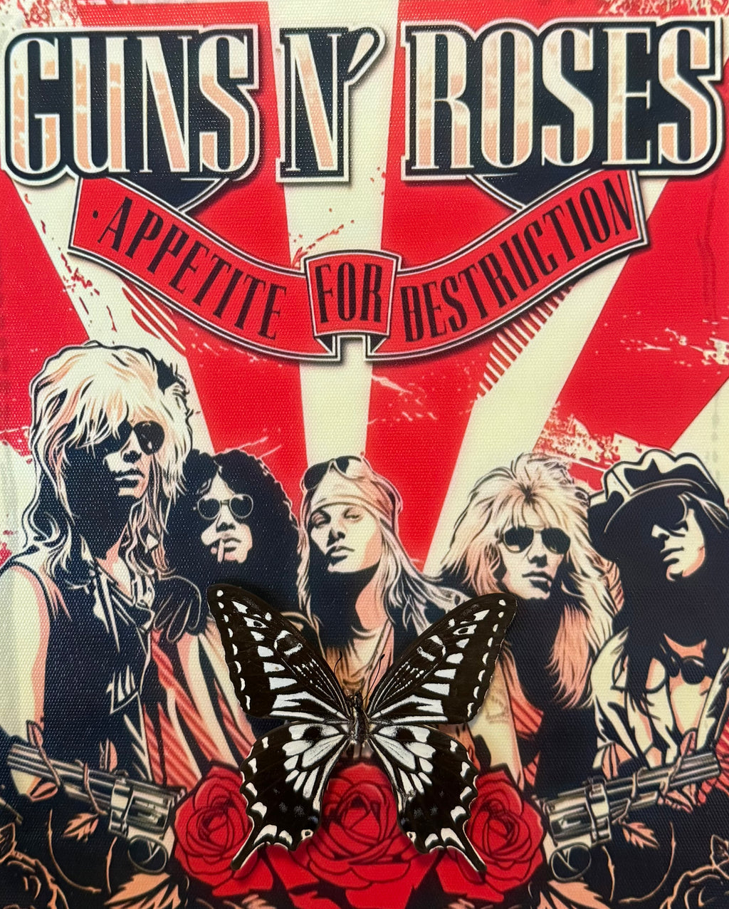 Guns n roses frame