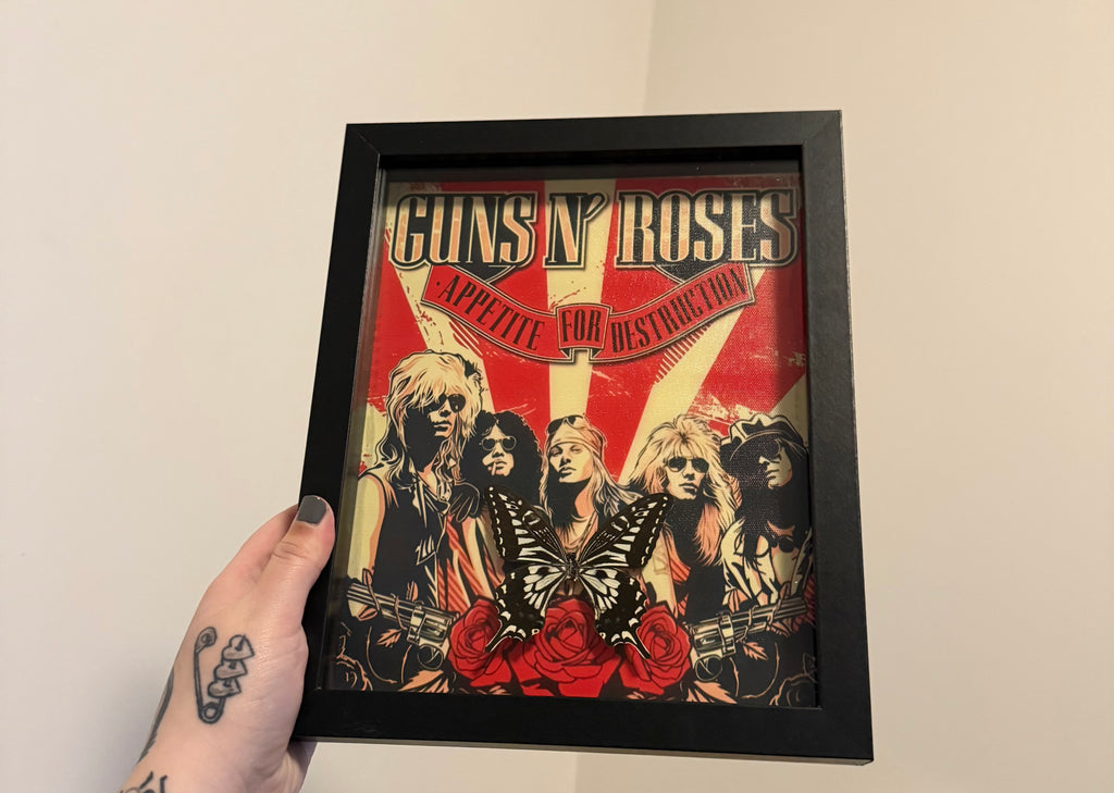 Guns n roses frame