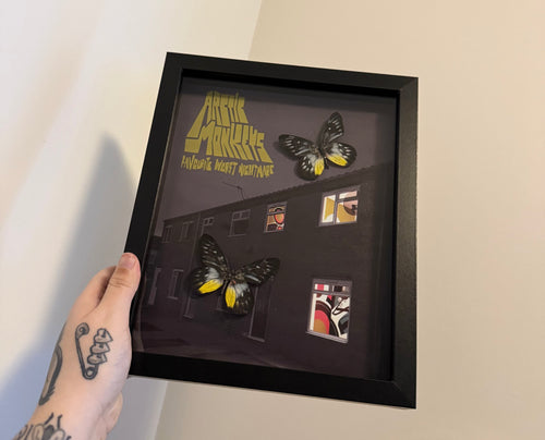 Arctic Monkeys Frame