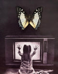 Poltergeist Frame