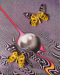 Tame Impala Frame