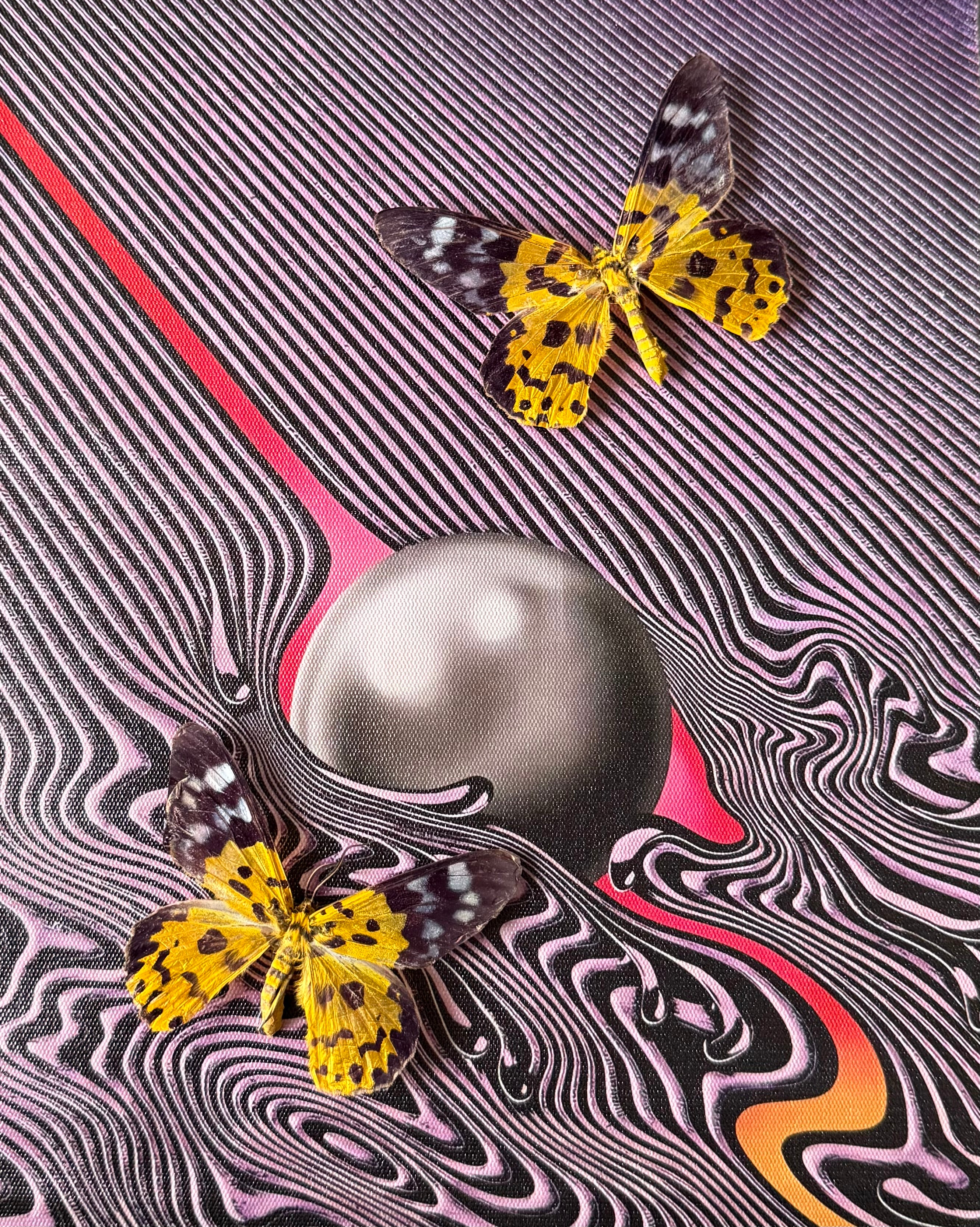Tame Impala Frame