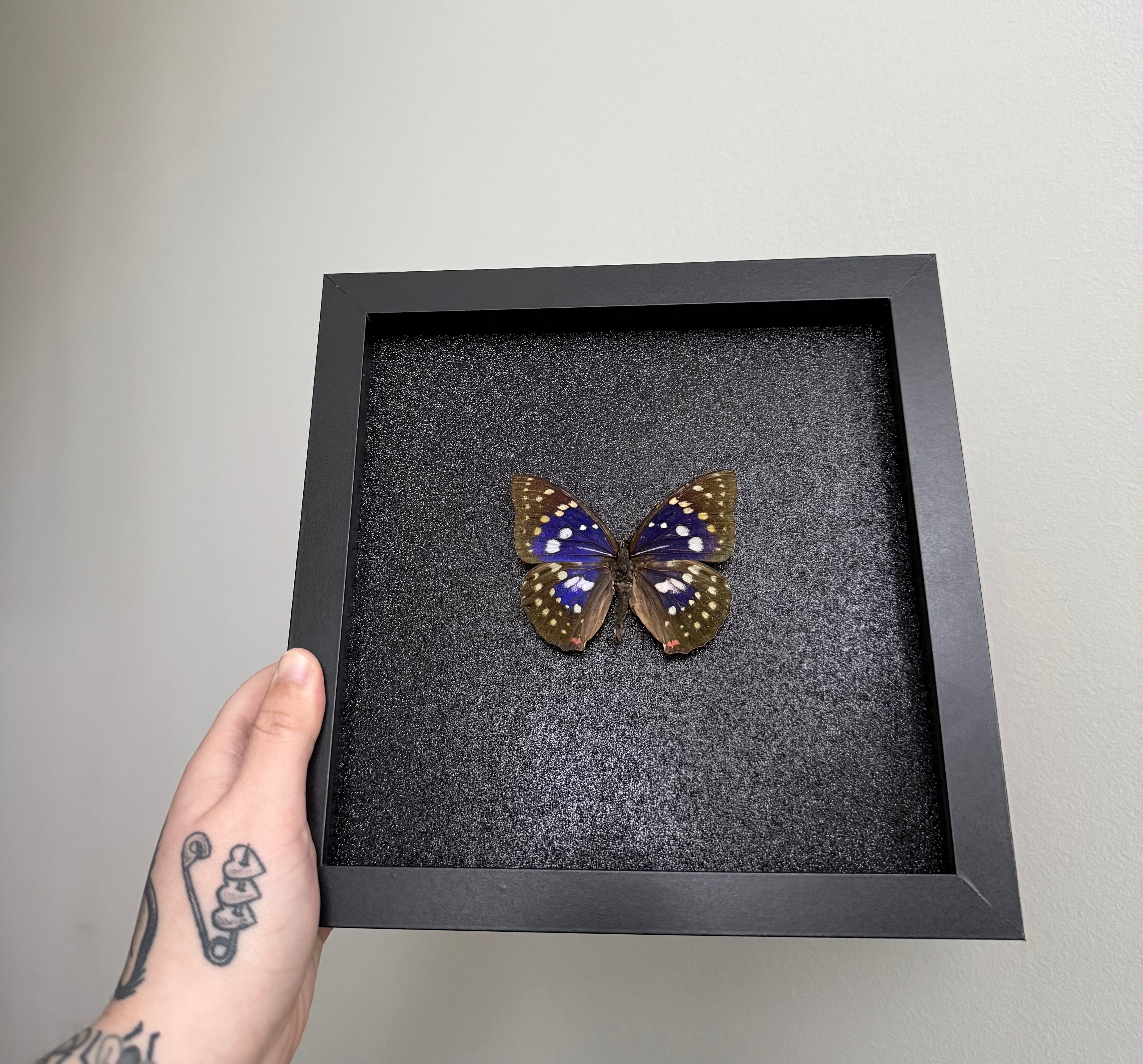 Great Purple Emperor - Glitter Frame