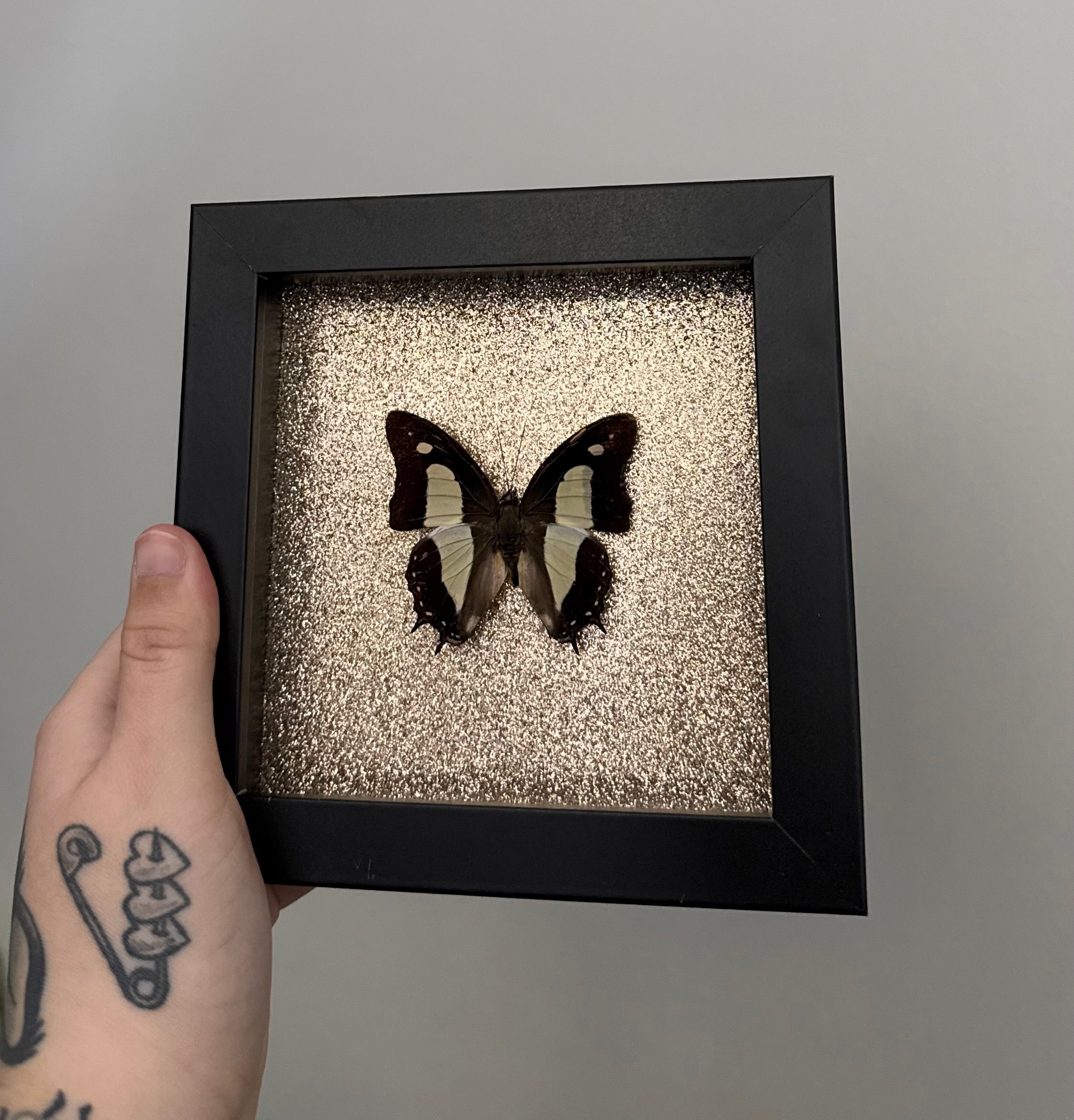 Common Nawab - Glitter Frame
