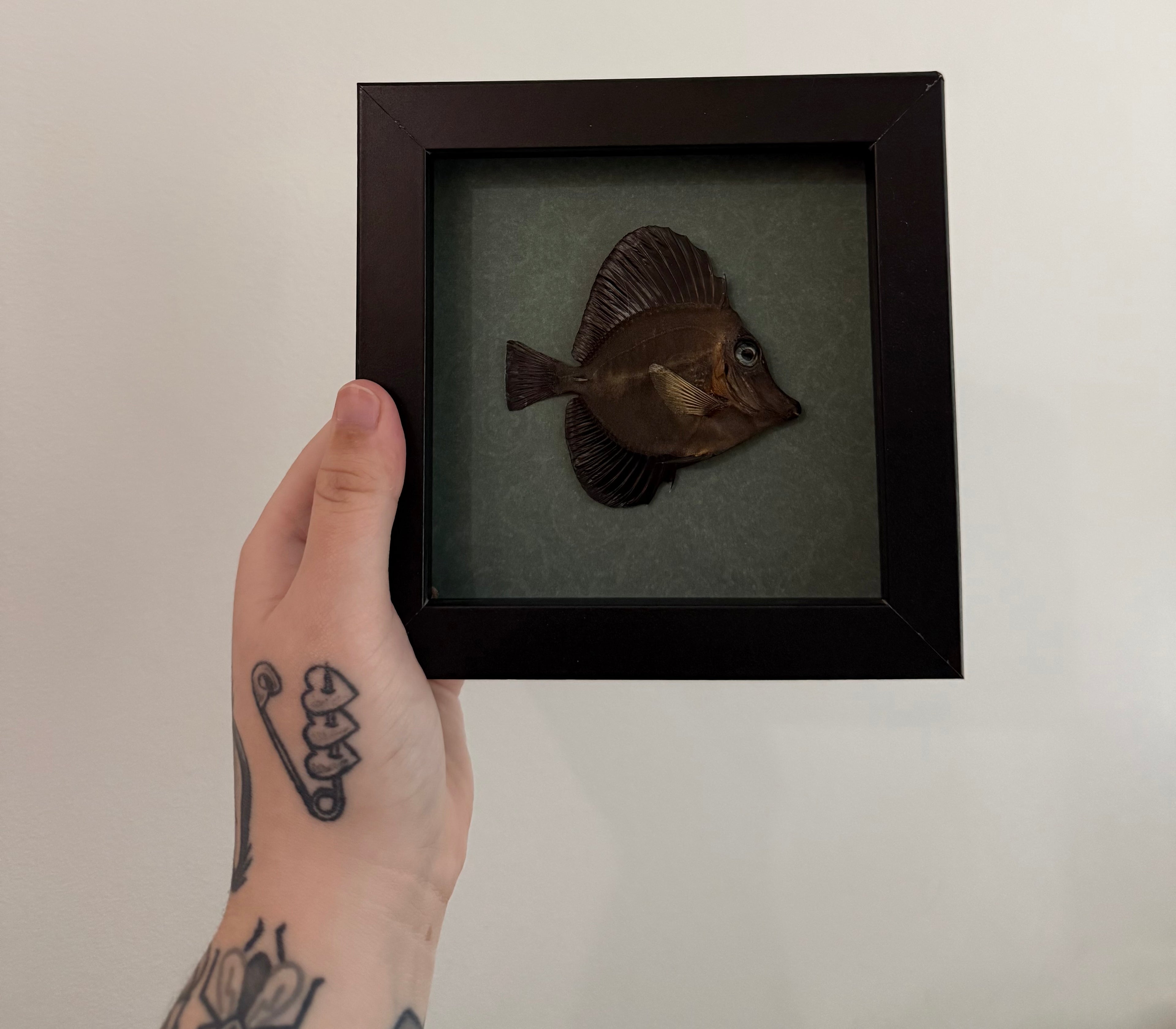 Scopas Tang Frame