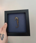 Seahorse Frame