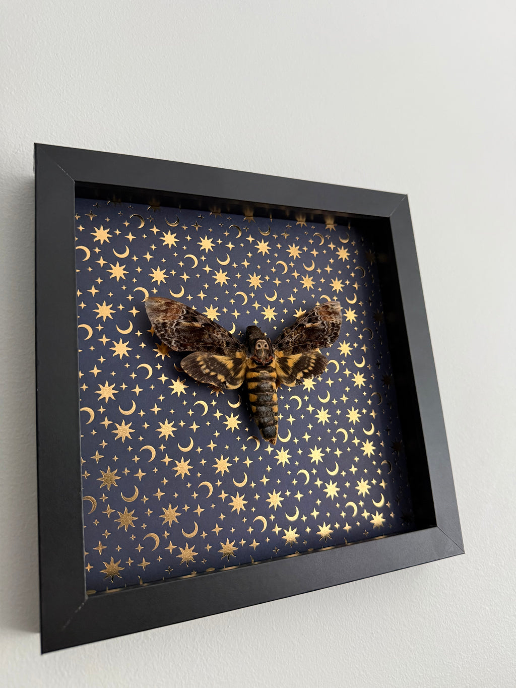 Death Head- Whimsy Frame