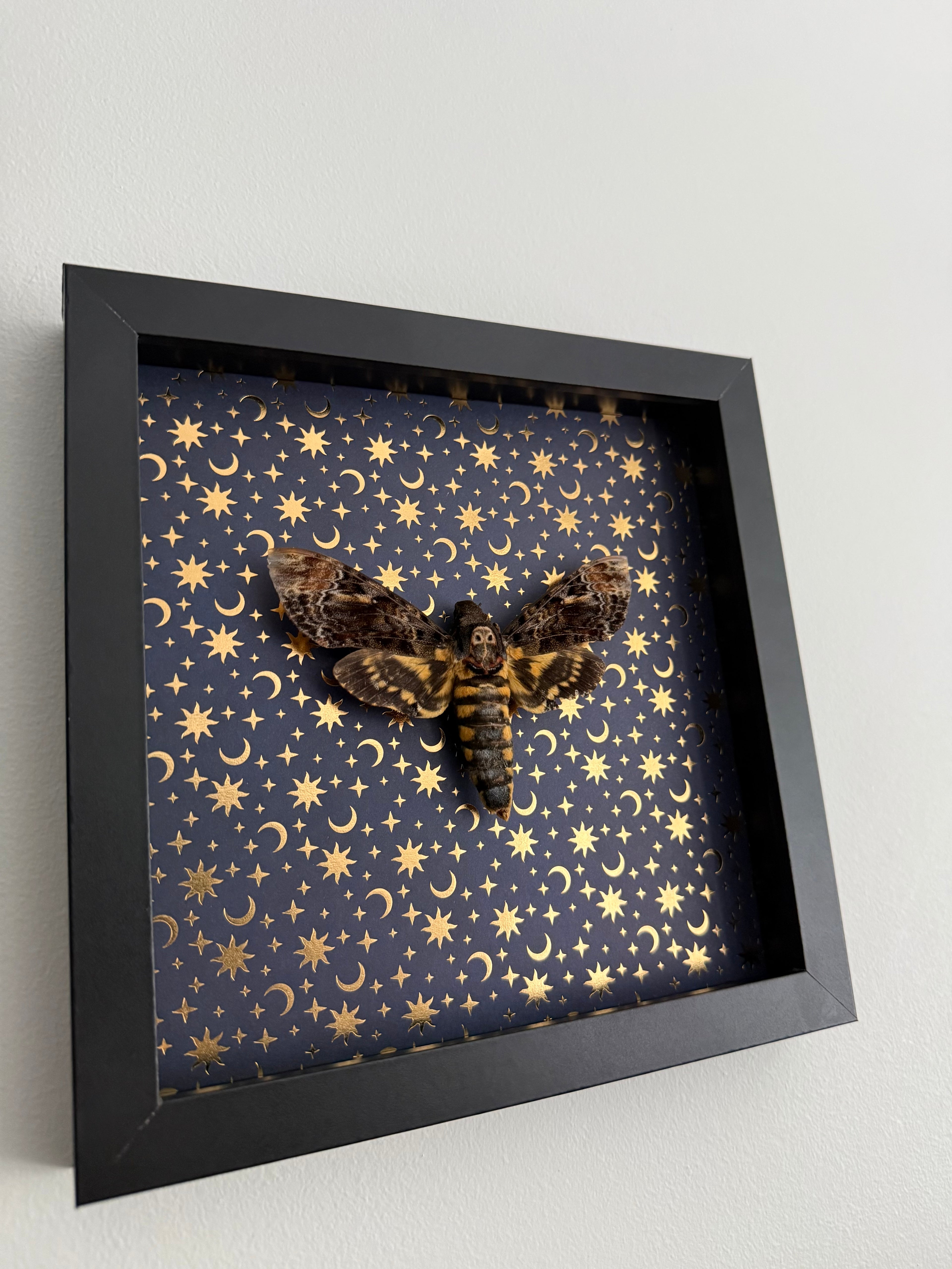 Death Head- Whimsy Frame