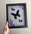 Violet Frame