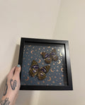 Great Purple Emperor Frame