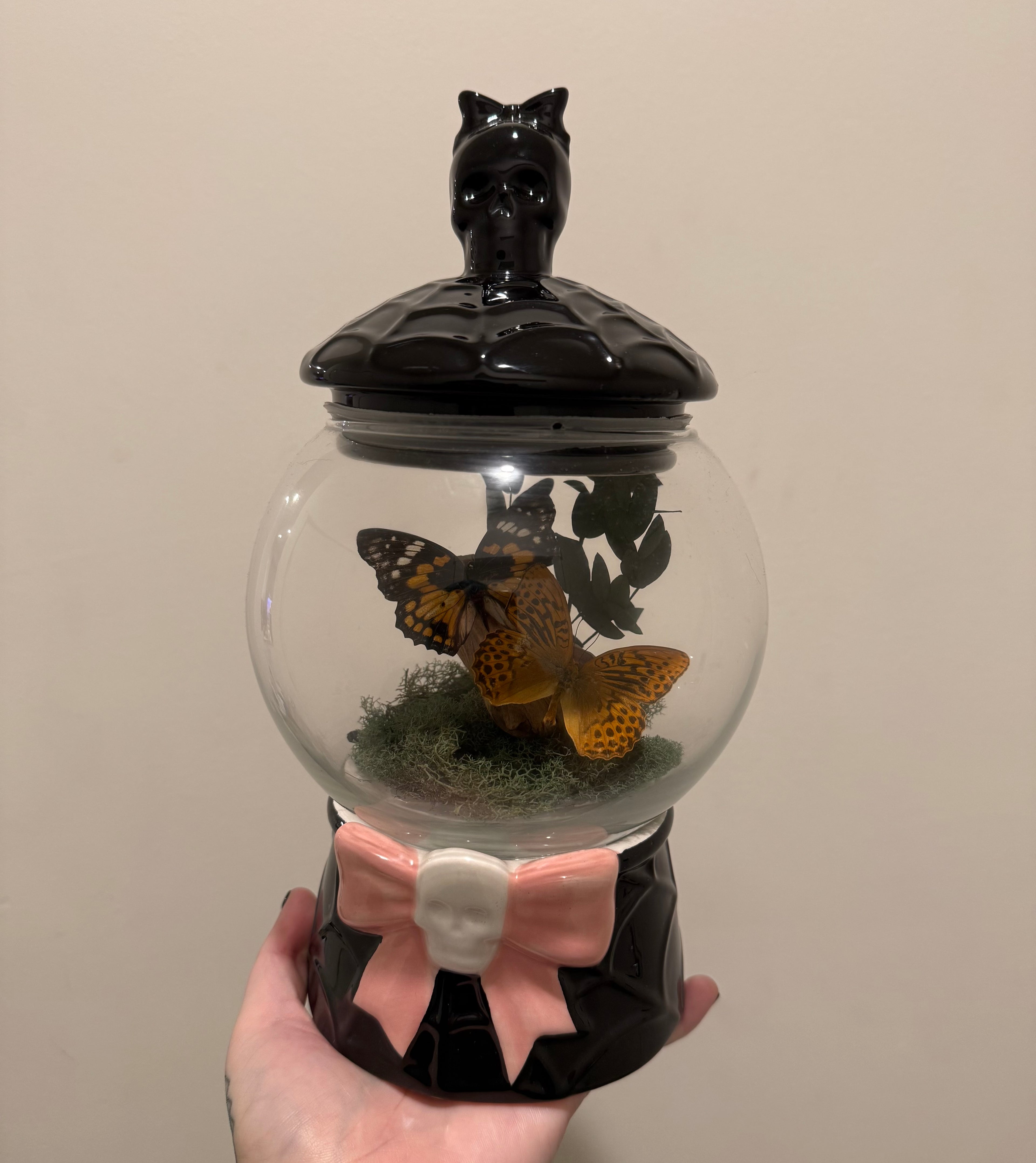 Butterfly Display- Double